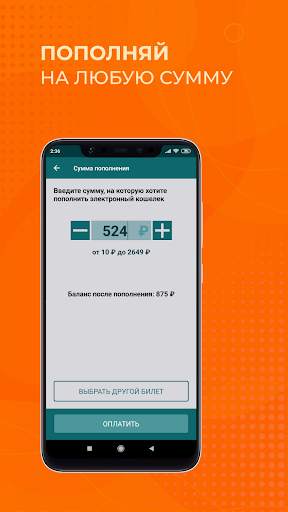 Тройка. Пополнение и проверка screenshot 3