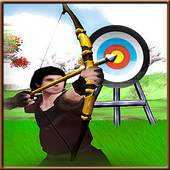 Archery King 3D 1.0