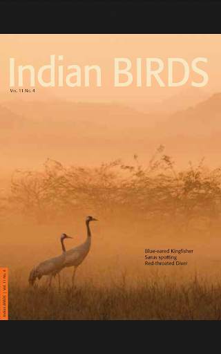 Indian BIRDS स्क्रीनशॉट 4