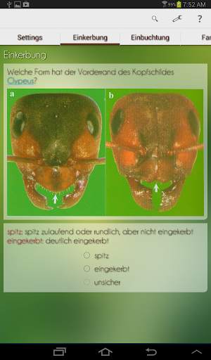 Ant App screenshot 9
