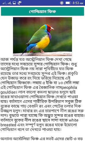 Birds Care स्क्रीनशॉट 4