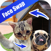 Face Detection Swap icon
