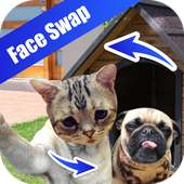 Face Detection Swap