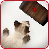 Laser Cat Simulator