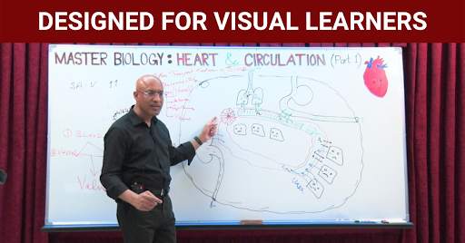 Dr. Najeeb Lectures Biology screenshot 6