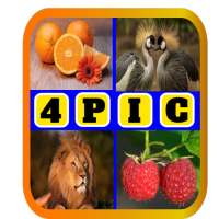 4 Pics 1 Word Champ icon