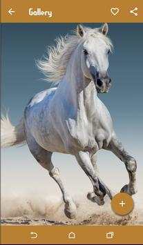 Horse Wallpapers screenshot 2