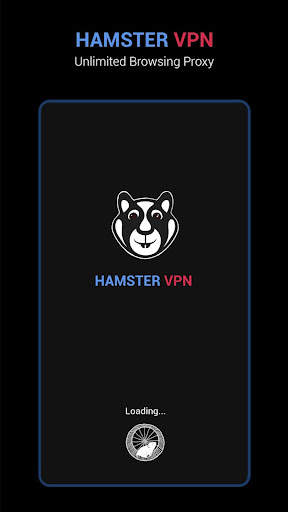 Hammer Hamtser VPN : Proxy screenshot 1