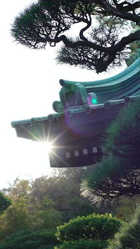 Japan Video Wallpapers screenshot 4