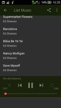 Ed Sheeran Offline screenshot 4