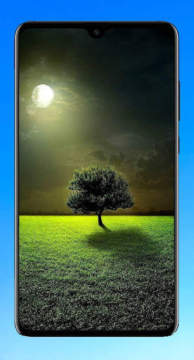 Tree Wallpaper 4K screenshot 8