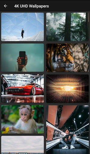 4K UHD Wallpapers & Bacgrounds- Supreme Wallpaper screenshot 6