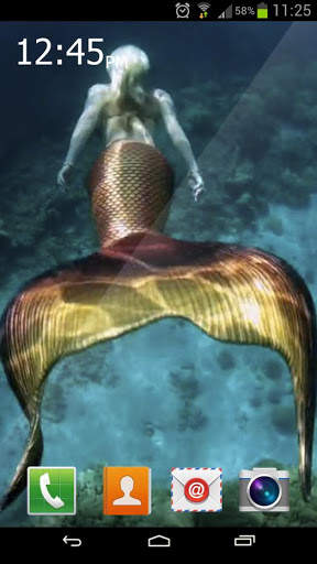 Mermaid Maritime Live screenshot 1