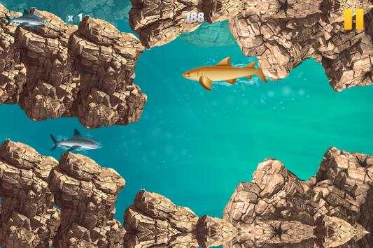 Angry White Shark Race Attack screenshot 3