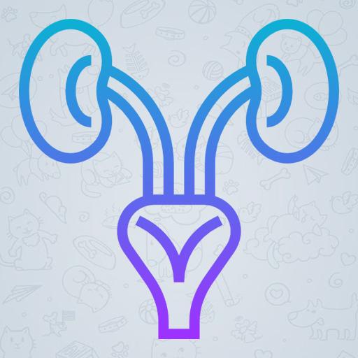 Sistem Pakar PMS icon