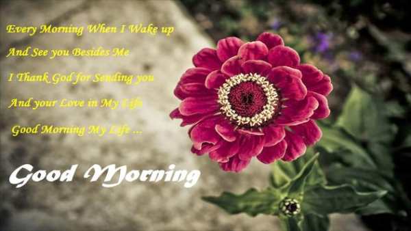 Good Morning Image screenshot 7