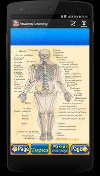 Anatomy Learning скриншот 8