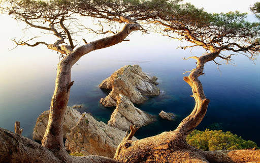 Landscape Wallpaper 4 تصوير الشاشة