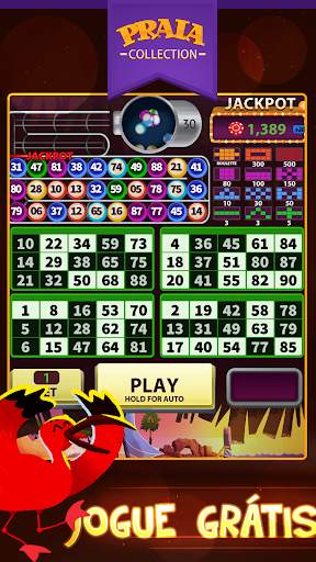 Video Bingo Jeri screenshot 1