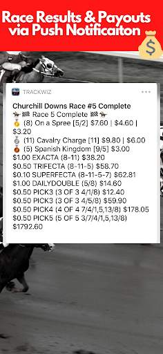 TrackWiz Horse Racing Picks screenshot 7