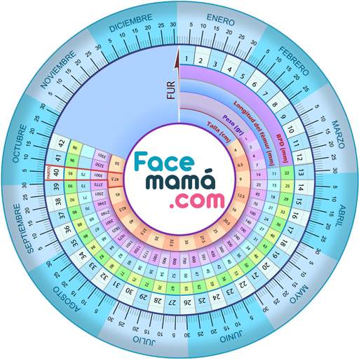 Pregnancy Weeks Calculator 1.1.11.6