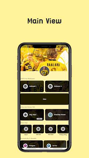 Haaland 2021 || Wallpaper, WhatsApp Sticker, Video screenshot 1