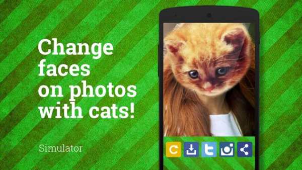 Cat Face Photo screenshot 3