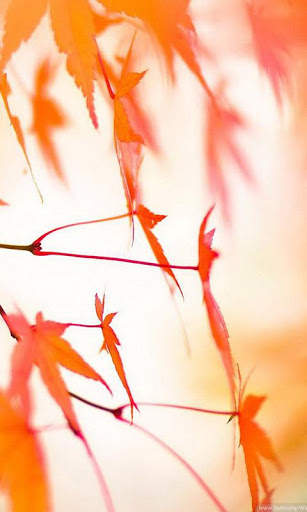 Magic Leaf Live Wallpaper screenshot 4
