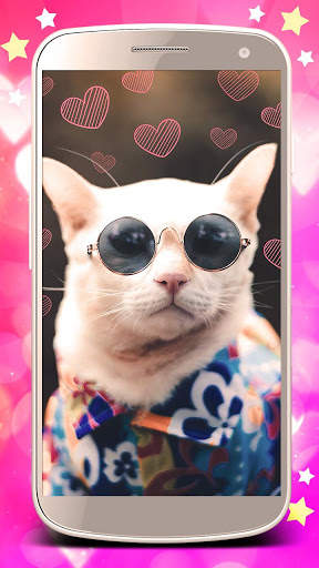 Cute cats live wallpaper. Cute dogs, unicorns screenshot 4