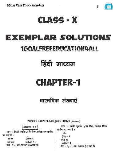 Class 10 math(Hindi)Ncert exemplar screenshot 3