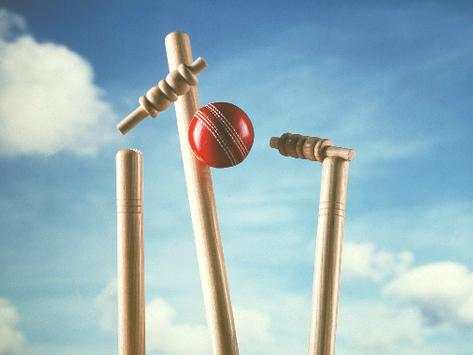 Play Cricket screenshot 1
