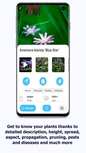 Right Plants screenshot 5