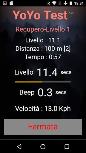 Yo-Yo Intermittent Test screenshot 2