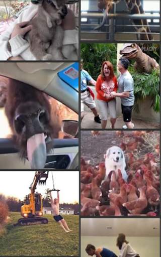 Hot viral video. screenshot 1