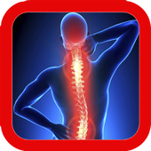 Back Pain Exercise icon
