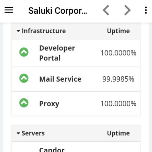 Saluki Corporation screenshot 1