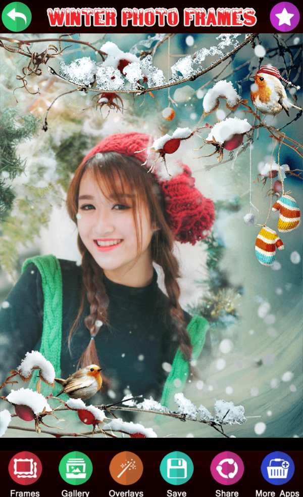 Winter Photo Frames screenshot 1