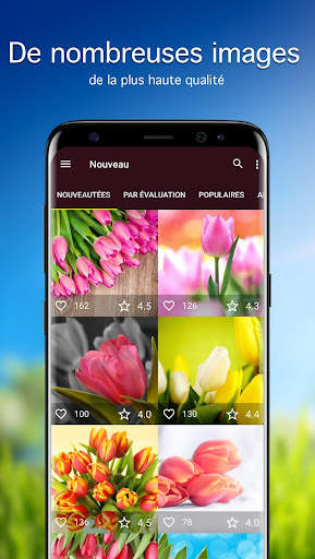 Tulipes Fonds d'écran 4K screenshot 1