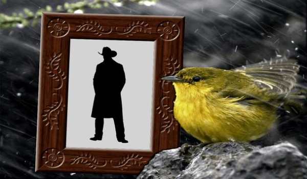 Classic Photo Frames screenshot 2