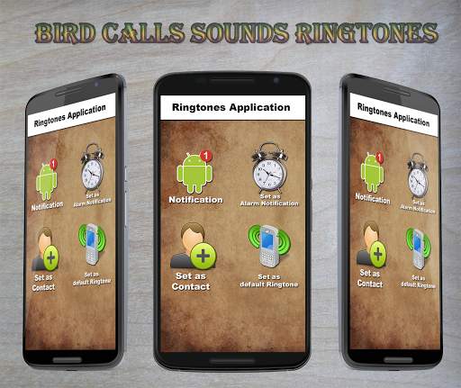 Bird Calls Sounds Ringtones screenshot 1