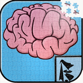 Is not Another Brain Game icon