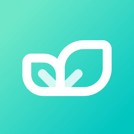 BruHealth 4.0.2