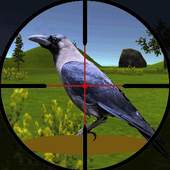 Flying Jungle Birds Hunting 1.1