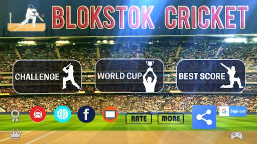 Blokstok Cricket screenshot 1