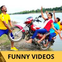 Funny Videos