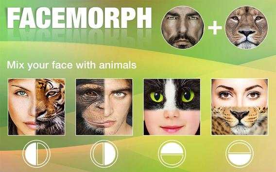 Face Morphing screenshot 2