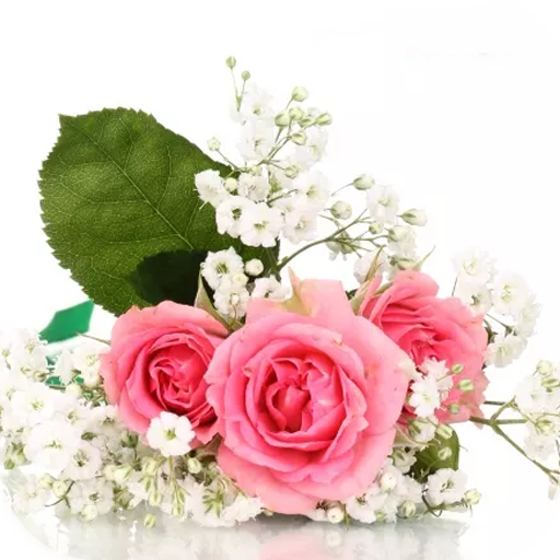 AppLock Theme  Pink Rose icon