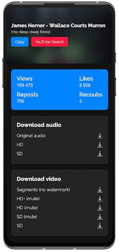 Coub Assistant screenshot 2
