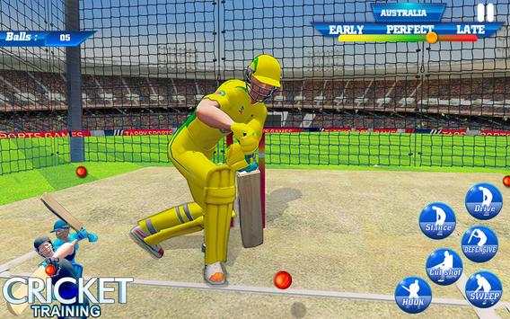 T20 Cricket Training : Net Practice Cricket Game screenshot 4
