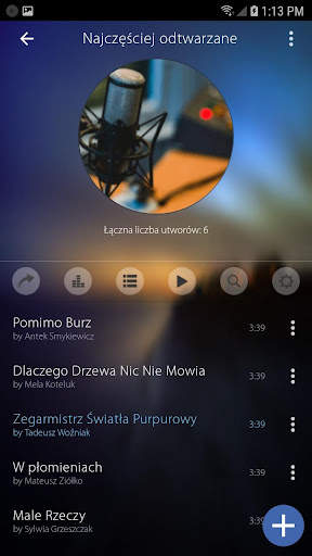 Mp3 Player screenshot 16